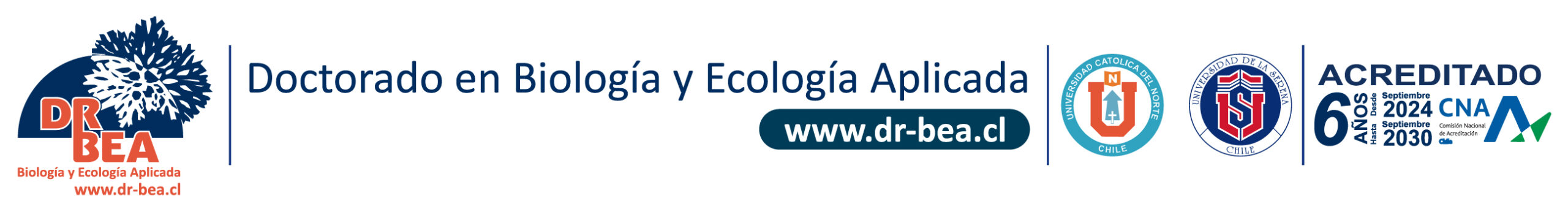 Doctorado Bea logo